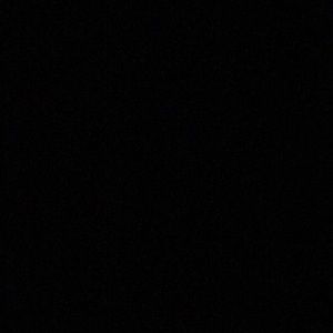 Meet your Posher, Tishara